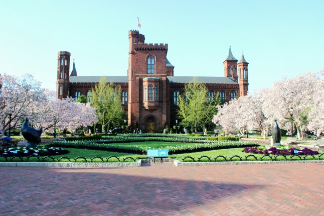 IMG_20150414_180218.jpg image