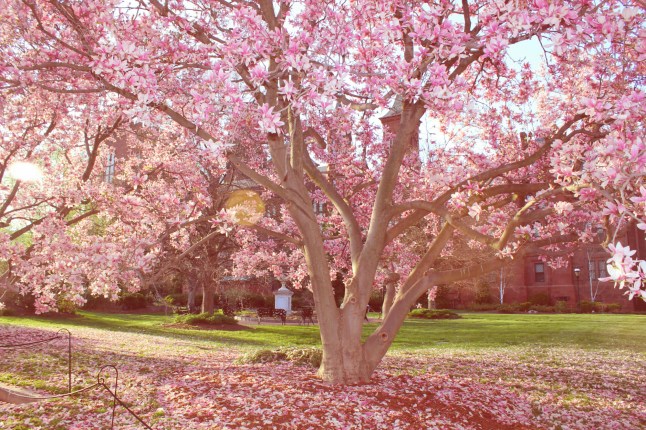 IMG_20150414_184112.jpg image