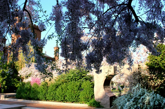 IMG_20150414_184627.jpg image