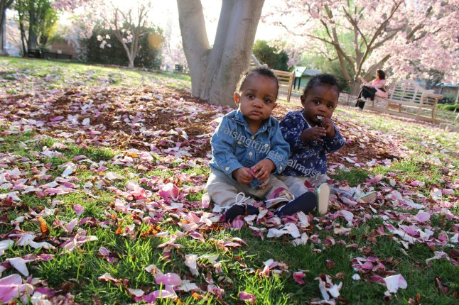 IMG_20150414_200330.jpg image