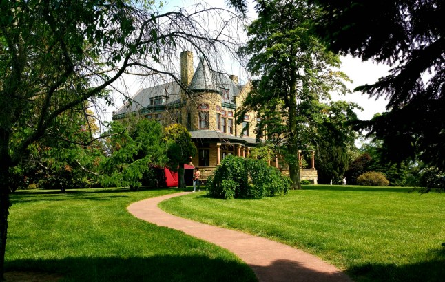 IMG_20150510_220055.jpg image