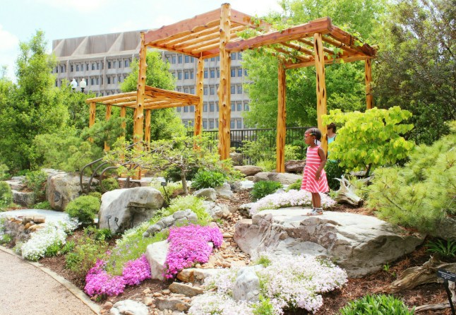 IMG_20150512_193222.jpg image