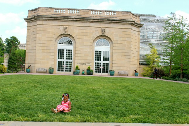 IMG_20150512_194032.jpg image