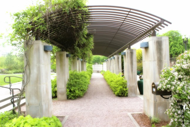 IMG_20150519_010141.jpg image