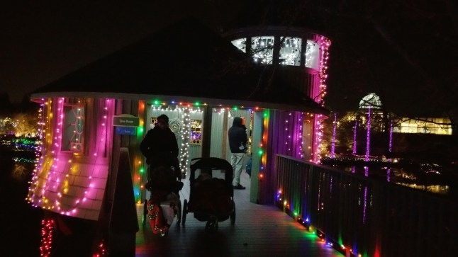 20151208_205859.jpg image